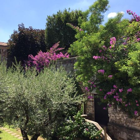 Le Finestre Sugli Ulivi Apartment Desenzano del Garda Ngoại thất bức ảnh